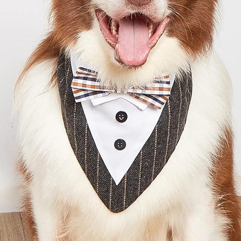 Dog Scarf For Dogs