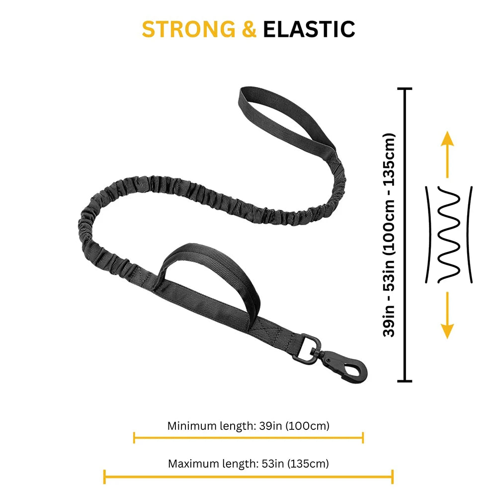 Large Dog Harness Collar Leash Set