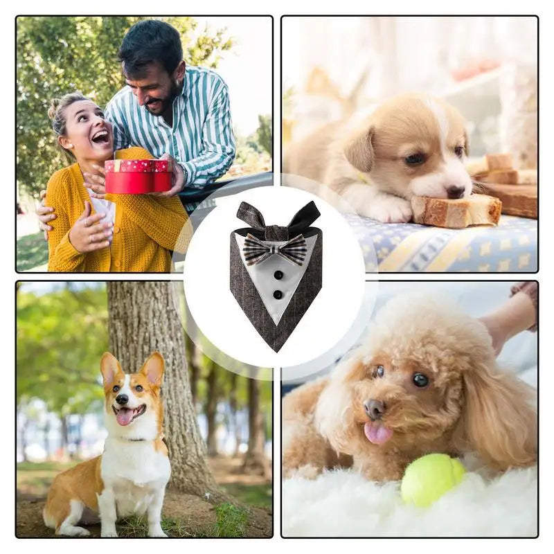 Dog Scarf For Dogs