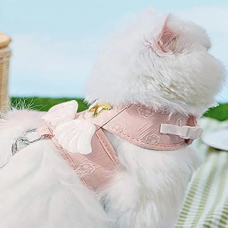 Kitten Harness Pet Cute Angel Wing Strap