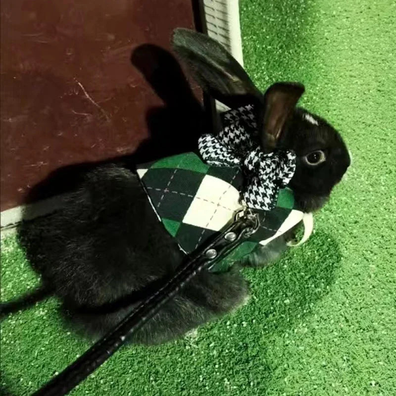 Headsome Rabbit Chinchillas School Uniform Clothes with Harness Walking Pet Harnesses and Leash Set
