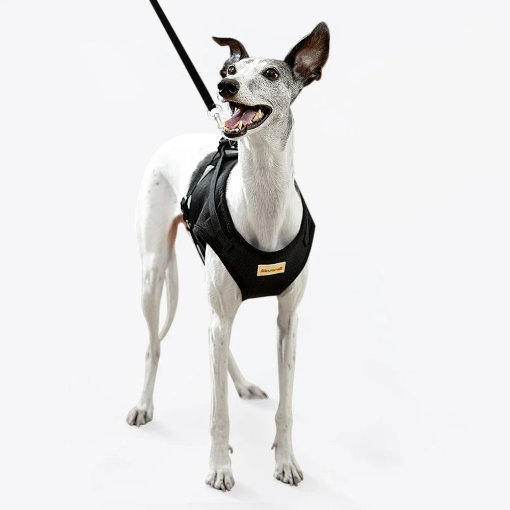 Reflective Safety Dog Vest Harness Dog Collar Leash Adjustable Mesh Vest