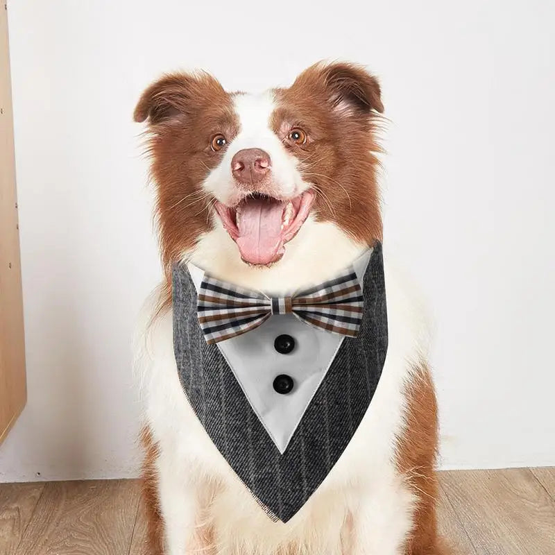 Dog Scarf For Dogs