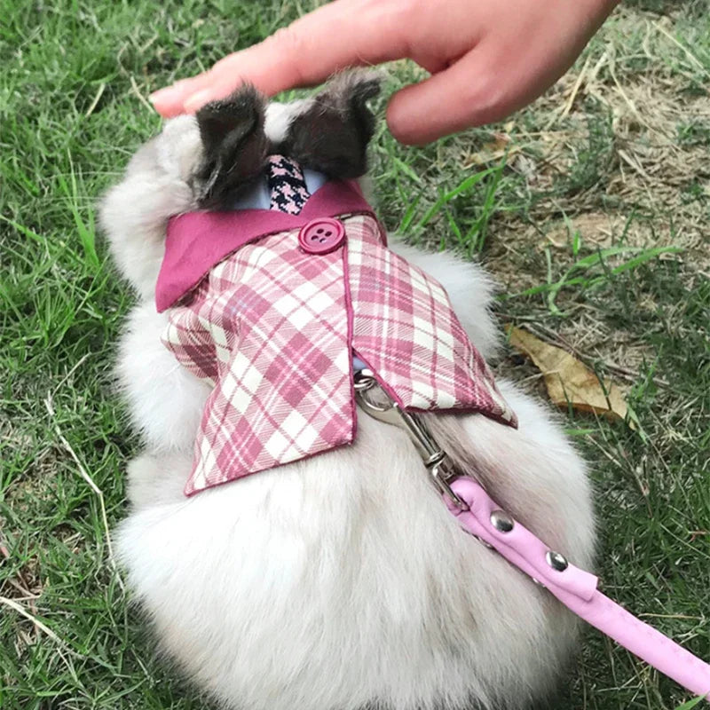 Headsome Rabbit Chinchillas School Uniform Clothes with Harness Walking Pet Harnesses and Leash Set