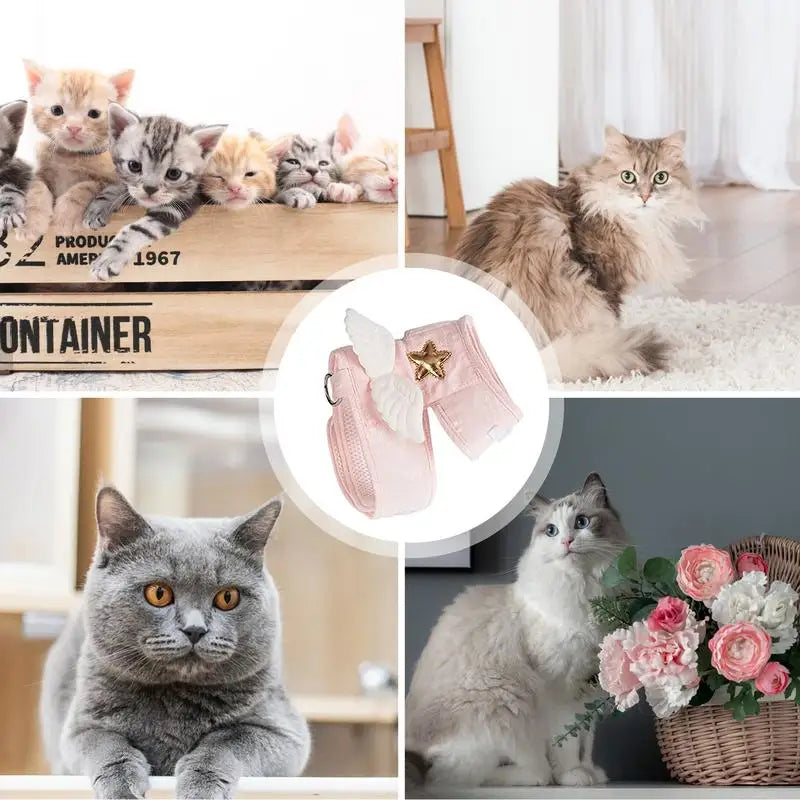 Kitten Harness Pet Cute Angel Wing Strap