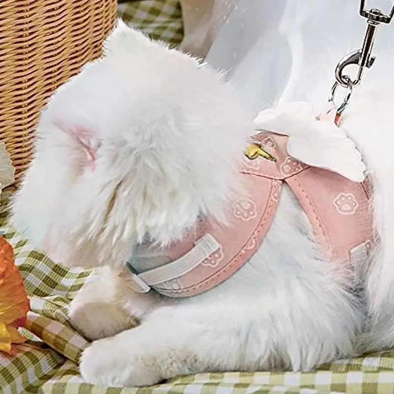 Kitten Harness Pet Cute Angel Wing Strap