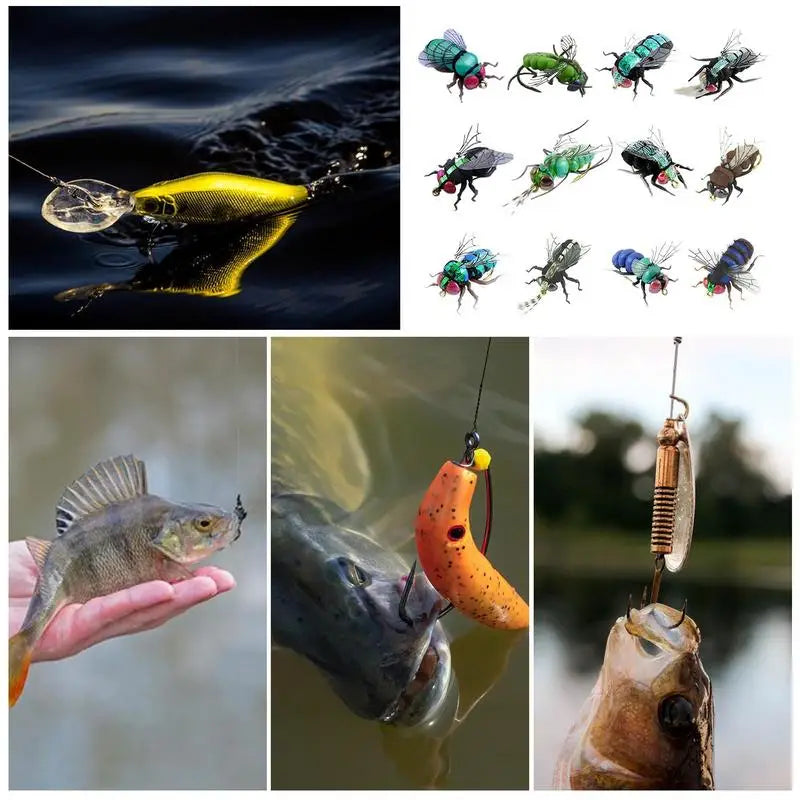 Fishing Fly Kit Bass Lure Set Of 12 Hand Tied Realistic Boxes Included Salmon Fishing Fly Bass Lure With Hooks For Freshwater