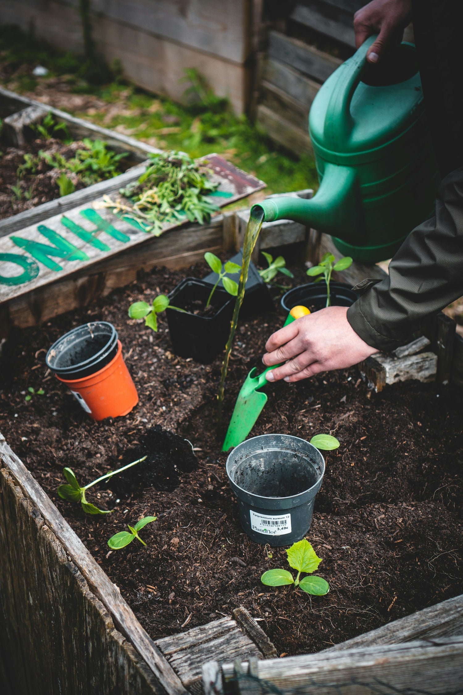 Gardening & Landscaping