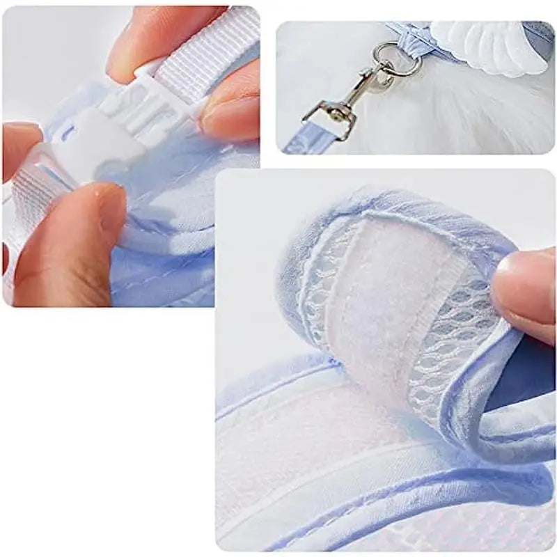Kitten Harness Pet Cute Angel Wing Strap